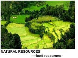 Natural Land Resources