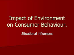 Environmental Impact of Consumers